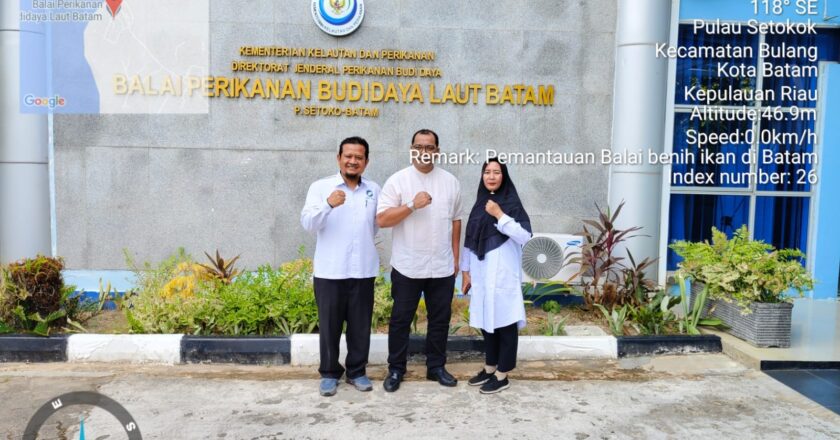 Upayakan Ketersediaan Bibit Ikan Kerapu di Natuna, Dinas Perikanan Jalin Kerjasama dengan BPBL Batam