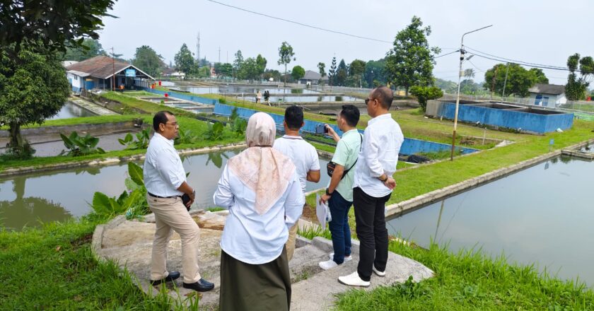 Dinas Perikanan Lakukan Pemesanan Calon Induk dan Kerjasama Lanjutan dengan BBPAT Sukabumi untuk Kembangkan Giat Budidaya di UPT BBI Natuna