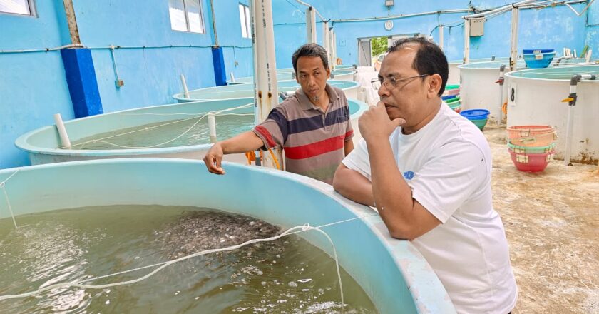 Koordinasi Pengembangan Komoditas Ikan Bawal Bintang