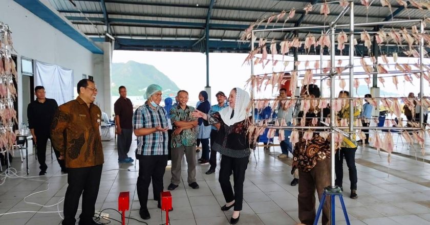 Pelatihan Pengolahan dan Pemasaran Cumi-Cumi